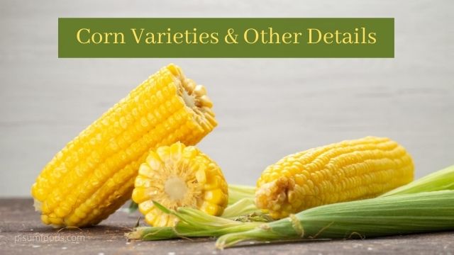 Corn Details